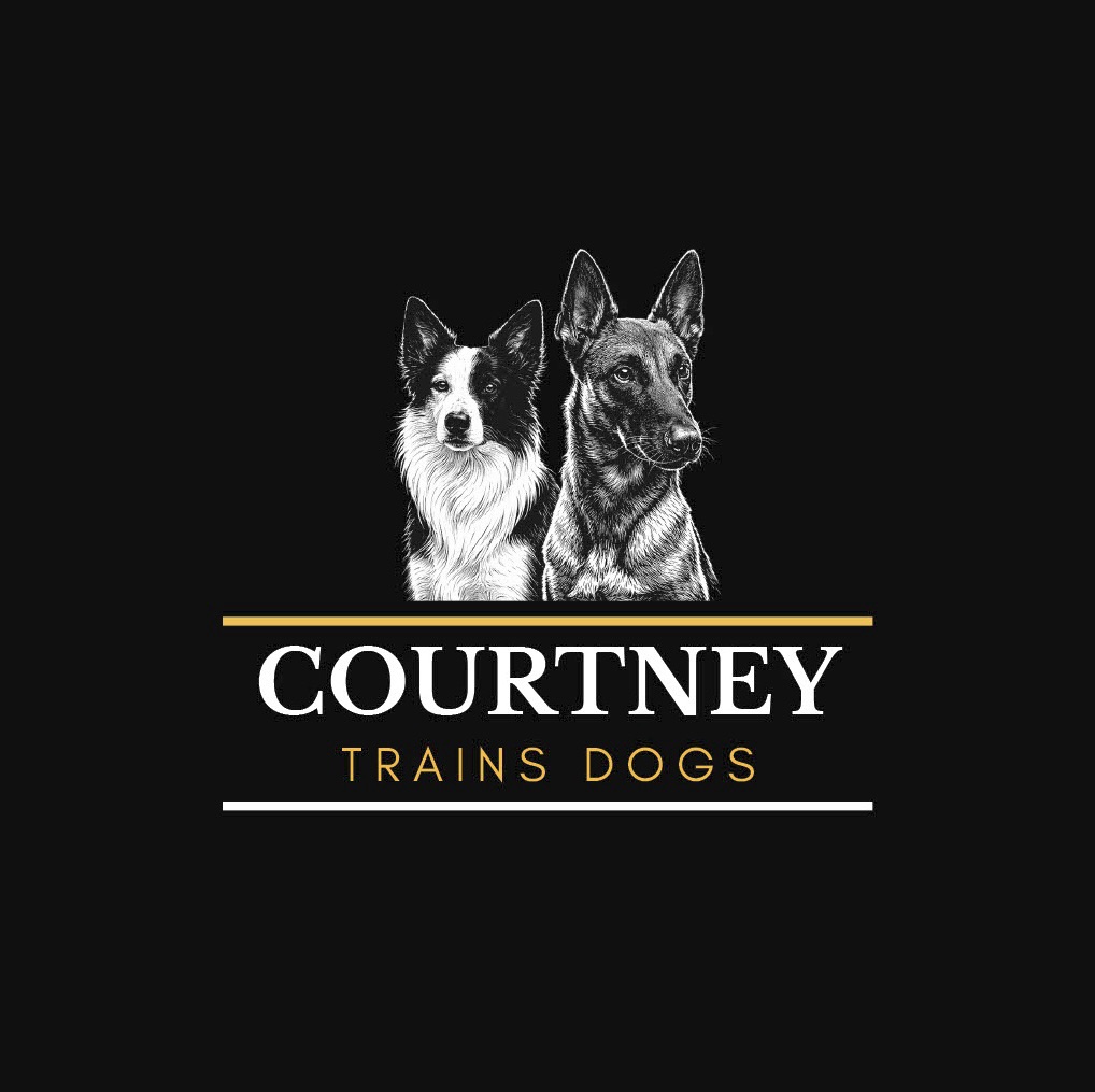 Courtney Trains Dogs LLC logo